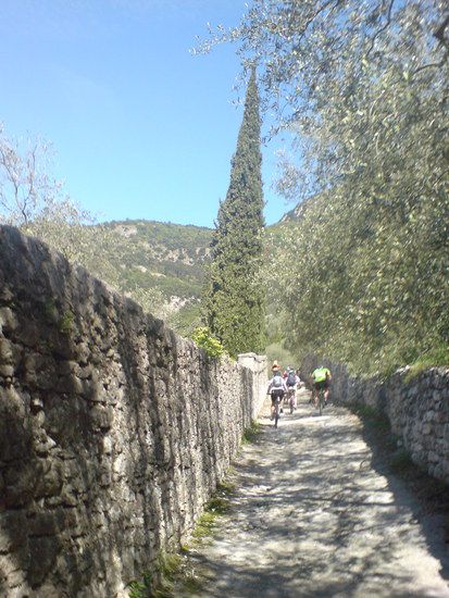 DSC00422