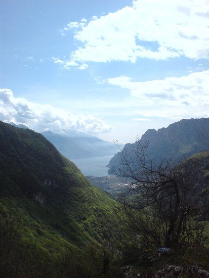 DSC00479