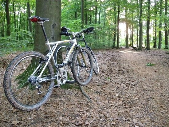 bike5