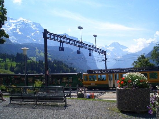 5 Wengen