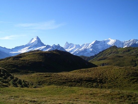 12 Fellhorn (?)