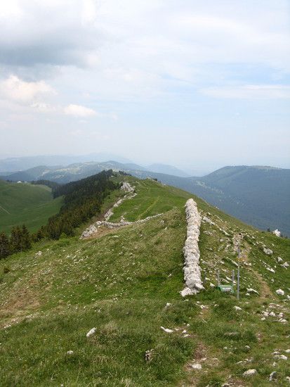 IMG 0782