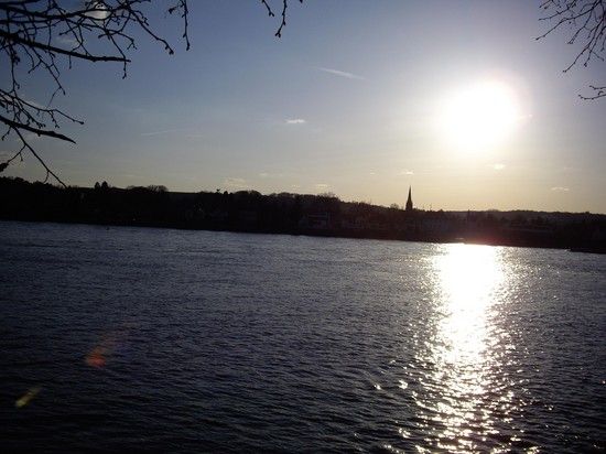 Panoramablick Rhein