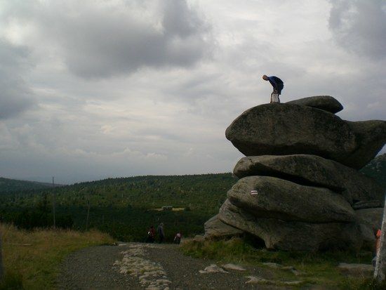 TransOst2006208