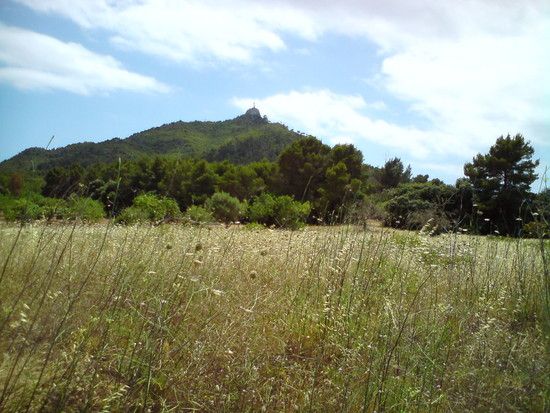 Hausberg