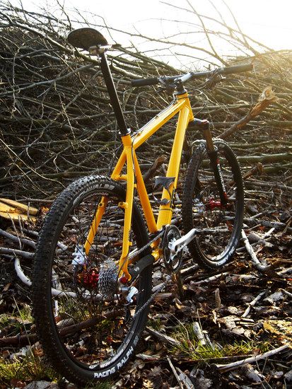 bikewaldhinten