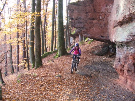 HohlerFelsen061111