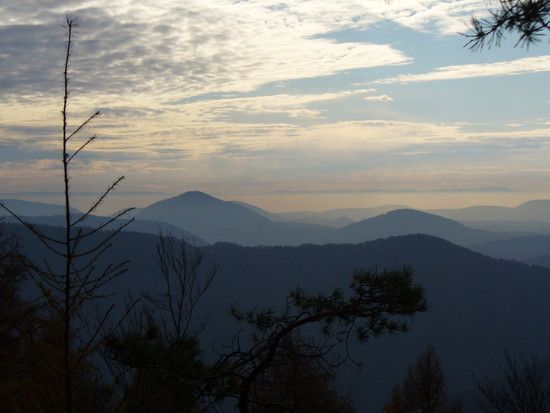 Pfalz201111