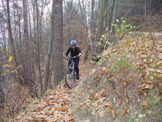 Stabenberghoch121111
