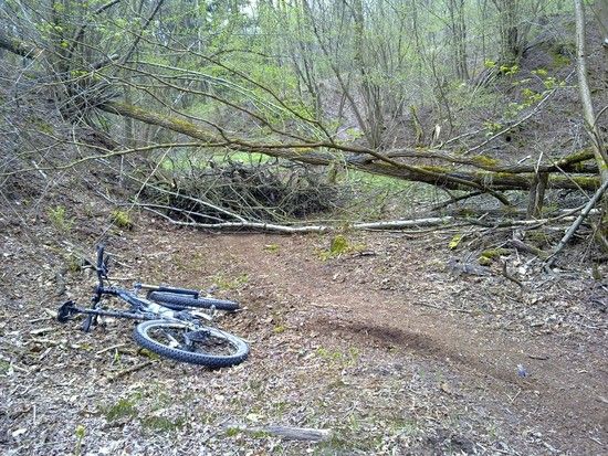 Trailcheck1