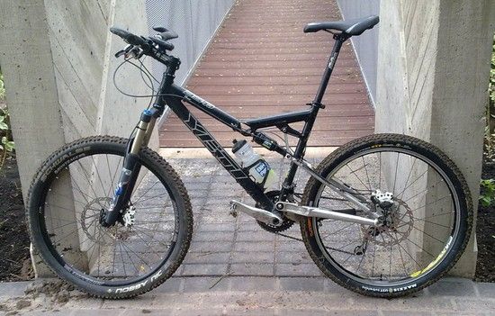 yeti