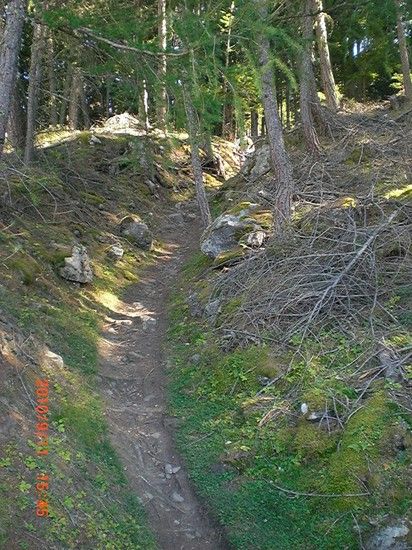 Latsch Trail Nr4 2010 09