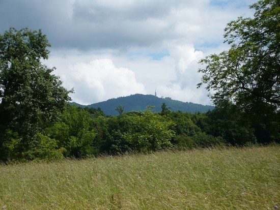 Bild 0, Vögisheim, Müllheim Blauenblick...