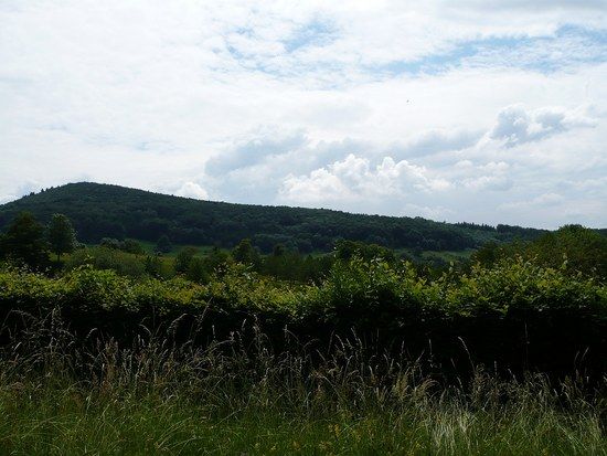 Bild 1 Beim Ehrenfreidhof Badenweiler