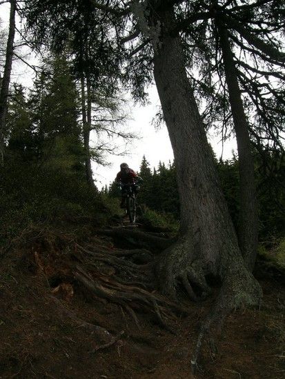 Pfingsten 2010 3