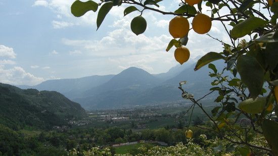 Schloss Trautmannsdorff