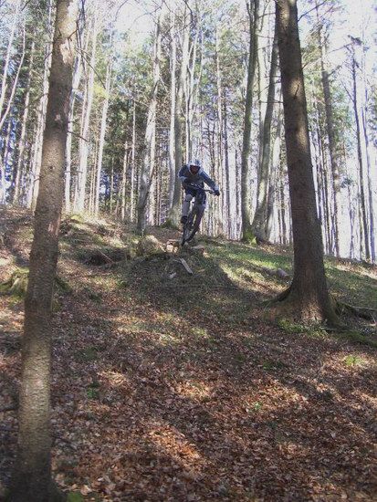 wangendrop