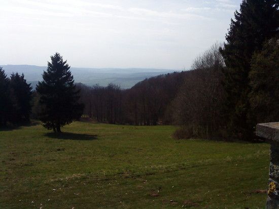 DSC00060