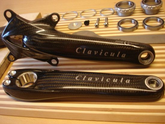Clavicula3