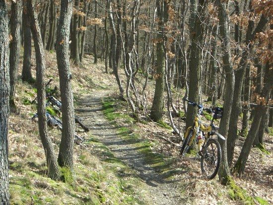 Trail bei Kransberg