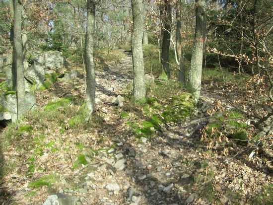 Trail am Kuhkopf