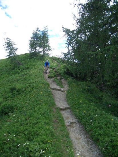 ...Trail zum Königseeaussichtsplatz...
