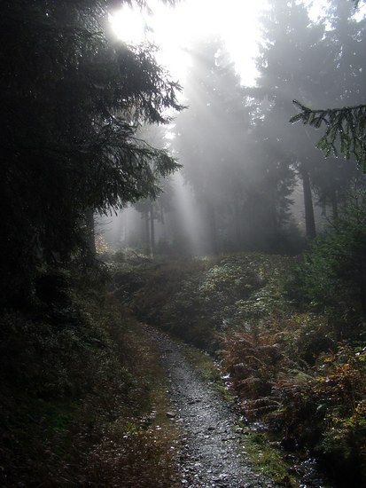 Morgenstimmung am Rennsteig !
