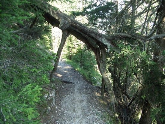 Trailstück vom Alpkopf runter nach Serfaus