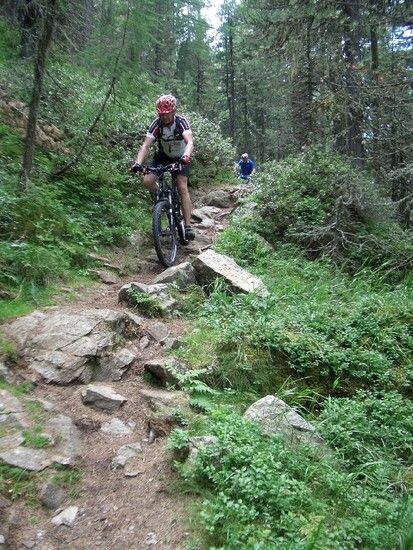 Almweg von der Zetn-Alm zur Naturnser-Alm