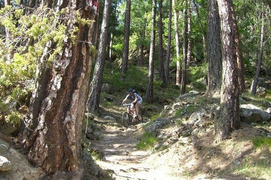 10&#039;er Trail/Wanderweg nach Naturns