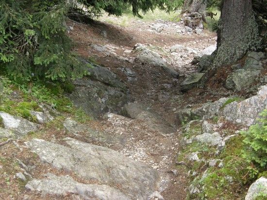Kreuzweg (Trail) von der Plamorthochebene nach Reschen