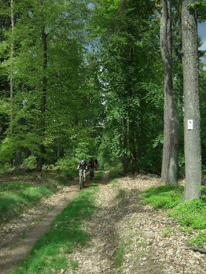 ...immer wieder schöne Wege und einige leckere Trails...