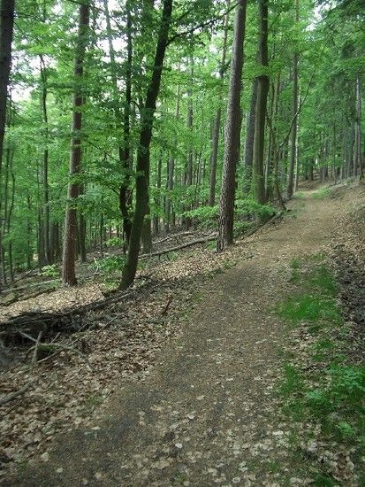 ...Trail hoch zum Forsthaus Aurora...