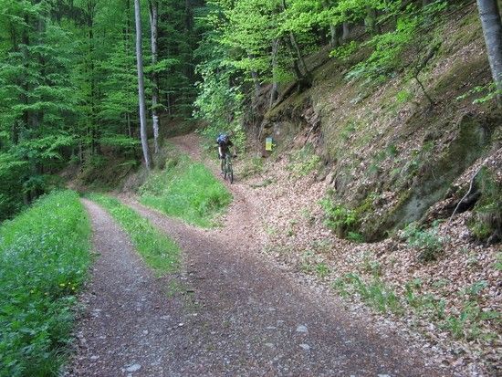 ...Abfahrt nach Lichtenau auf leckerem Trail...