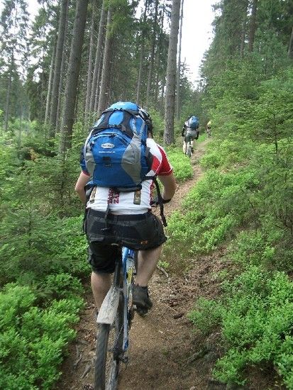 ...wunderschöner Wurzeltrail...