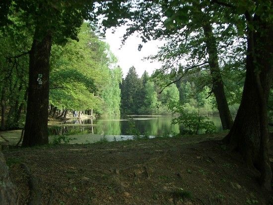 ...Pause am Wiesbüttsee kurz hinter Wiesen...