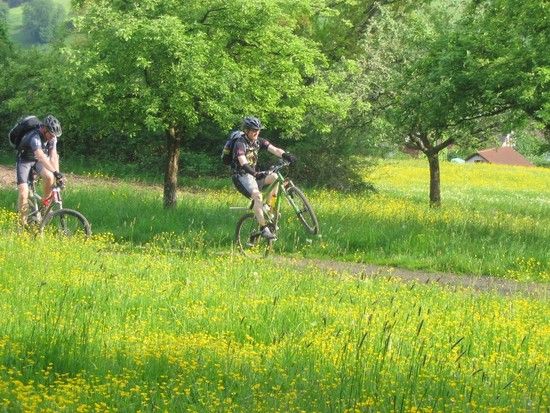 ...Andi beim Crusen auf dem Hinterrad...