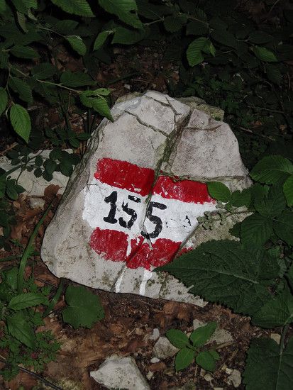 IMG 2649
