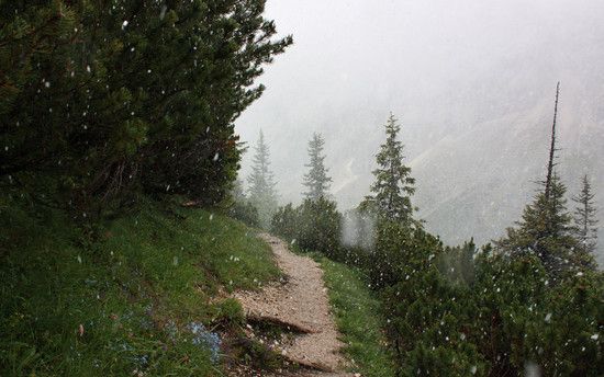 2011-06-19Schnee