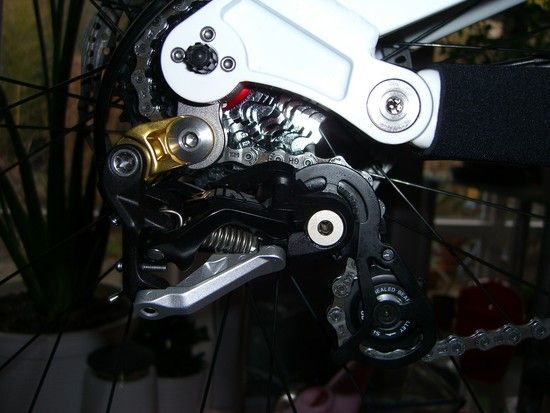 CIMG2906
