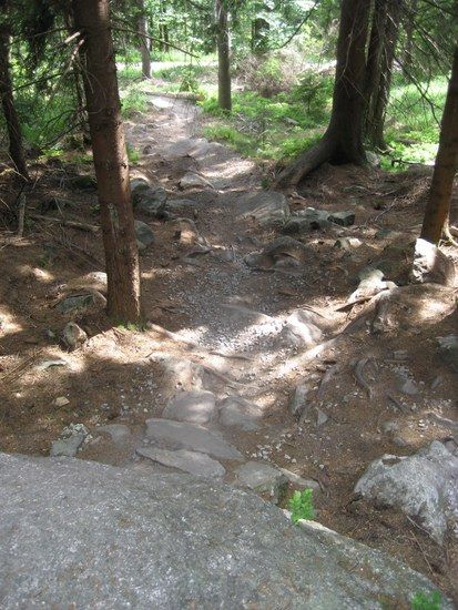 IMG 0074