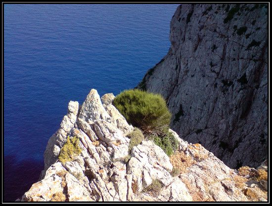 2009 Mallorca-Formentor