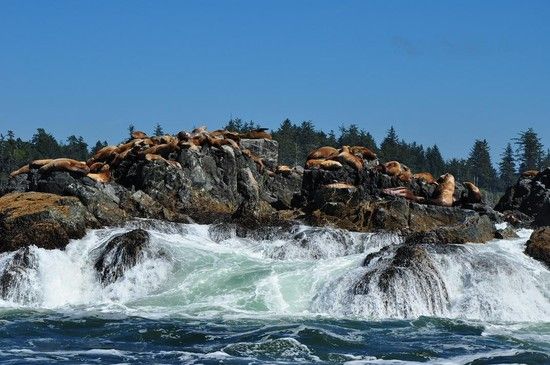 2011 Kanada - BC