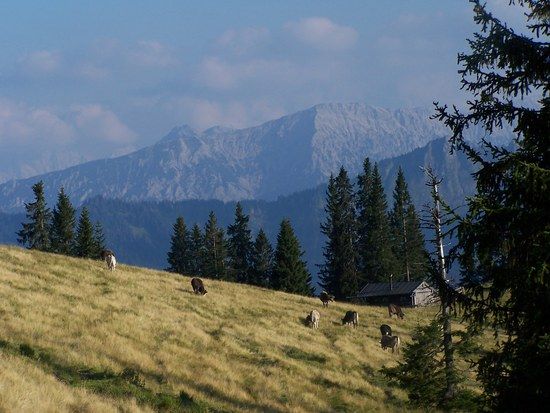 Trauchberge