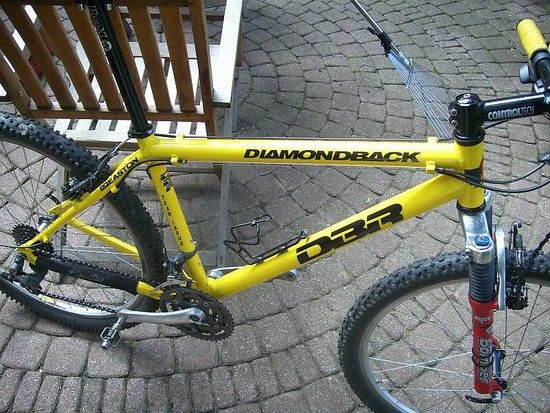 DSCI0799