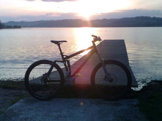 NerveAM502008