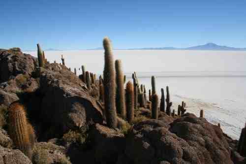 Bolivien1