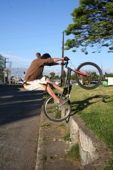 Trial-amigo in Temuco