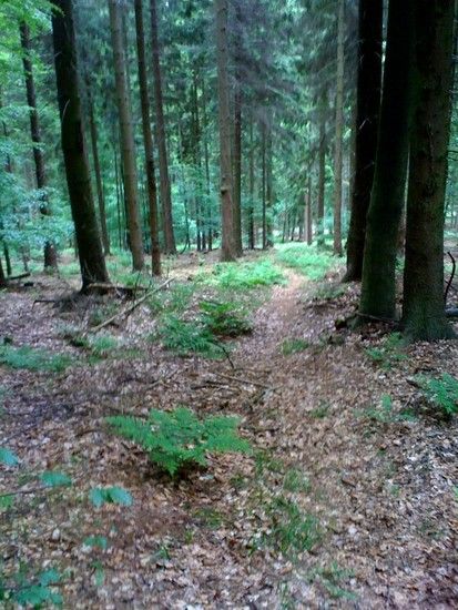 photo2
