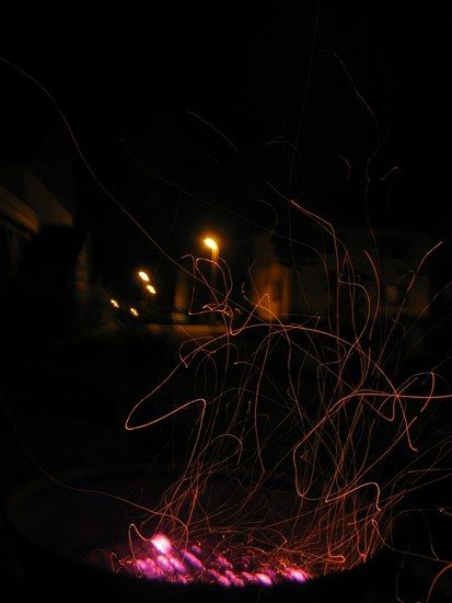 IMG 8289